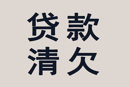 追偿无果，债务人无力赔偿时如何应对？